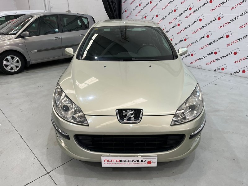 Peugeot 407 2.0 HDI ST Confort / Sport 2004, foto 2
