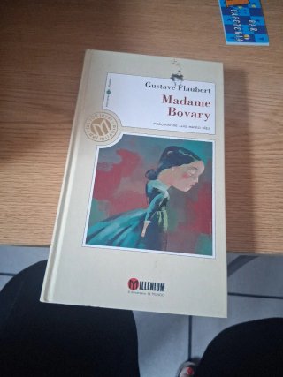 Madame Bovary
