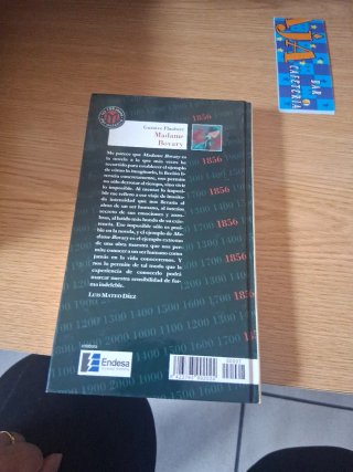 Madame Bovary