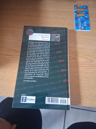 Madame Bovary
