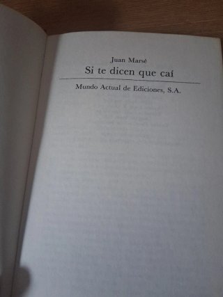 Si te dicen que caí