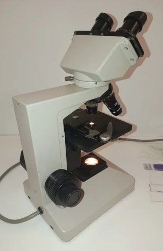 Microscopio binocular Nikon SE