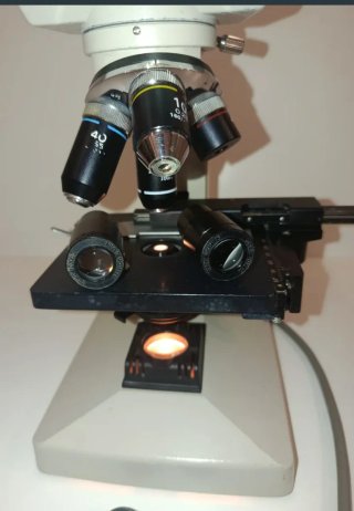 Microscopio binocular Nikon SE