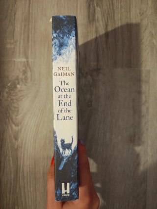 The Ocean at the End of the Lane Illustrated
