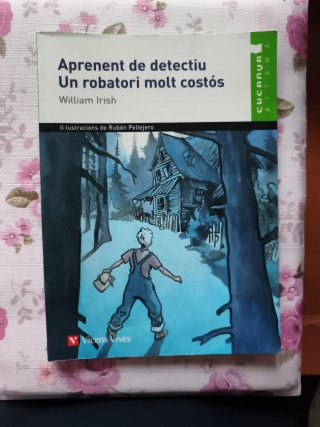 APRENENT DE DETECTIU.UN ROBATORI MOLT COSTÓS