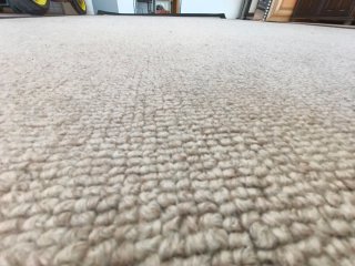 Alfombra Rectangular Beige y Negra