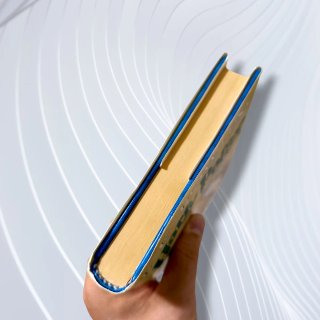 Harry Potter E la Pietra Filosofale PRIMA EDIZIONE
