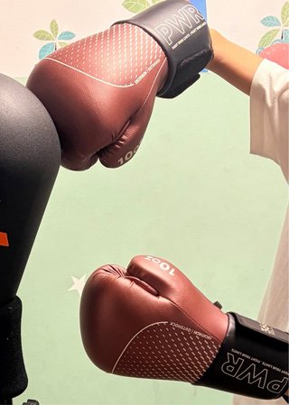Bola de boxeo con guantes