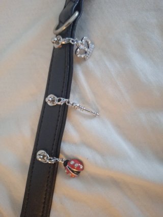 Collar para perro con adornos/charms