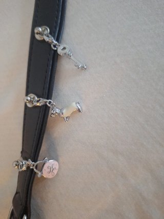 Collar para perro con adornos/charms