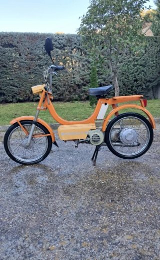 Vespino T