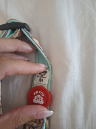Collar para perro Dukier multicolor