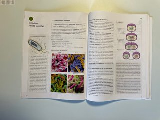 Biologia y Geologia 1 ESO. Anaya