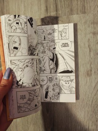 FAIRY TAIL 01