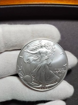 Onza de plata .999 - (Silver Eagle - 2023)