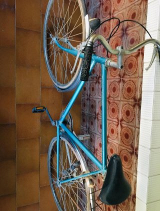 Bicicleta Deffert Mercie Azul