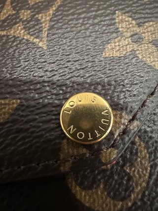Louis Vuitton Felicie Pochette