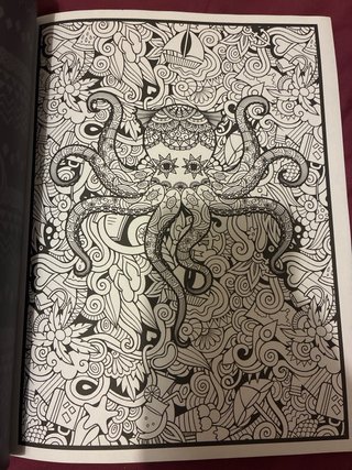 Naturaleza Viva Libro De Colorear Para Adultos