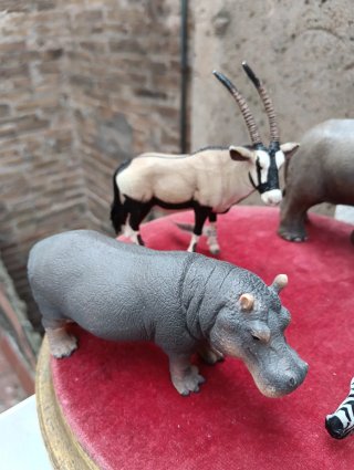 Lote 5 Animales África Schleich