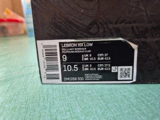 Zapatillas Nike LeBron XIX Low Multicor