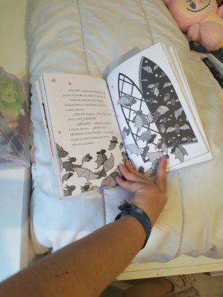 Isadora Moon va al colegio / Isadora Moon Goes ...