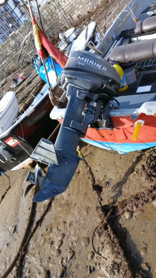 Motor fueraborda