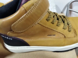 Botas Geox Marrones y Negras