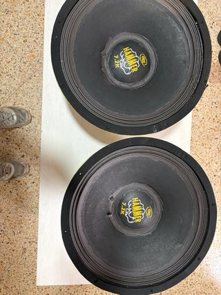 Altavoces Hamer para reparar (2 unidades)car audio
