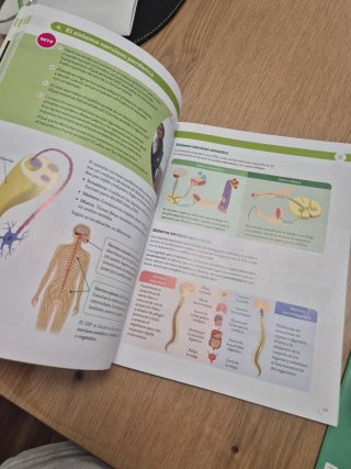 BIOLOGIA Y GEOLOGIA MADRID 3 ESO CONSTRUYENDO Mund