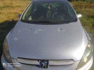 Peugeot 307 2005