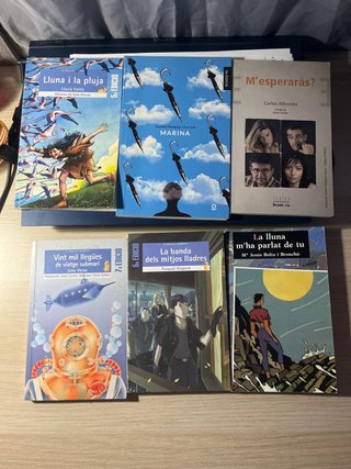 Libros lectura valenciano