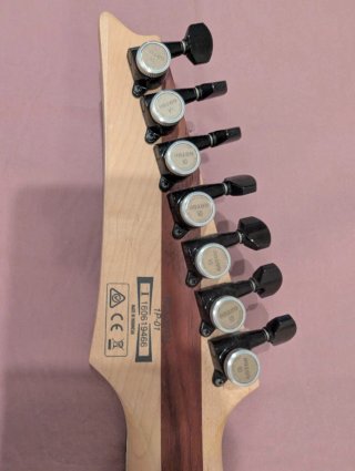 Guitarra Ibanez RGAIX7FM-TGF Iron Label