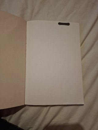 Una noia N.O.R.M.A.L. vol fer de fotògrafa