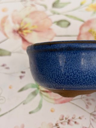 Maceta para Bonsái Azul