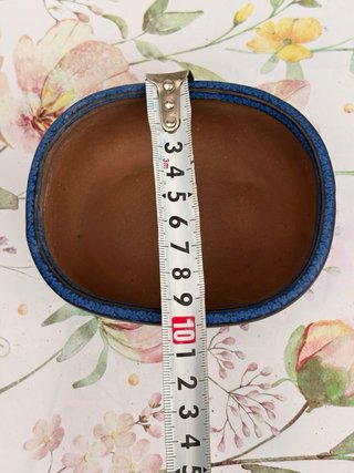 Maceta para Bonsái Azul