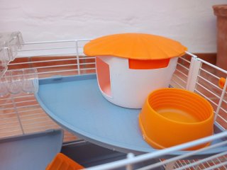Jaula para Hámster con Accesorios