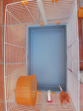 Jaula para Hámster con Accesorios
