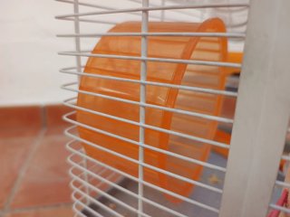 Jaula para Hámster con Accesorios