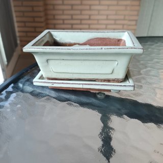Mini Jardinera de Cerámica