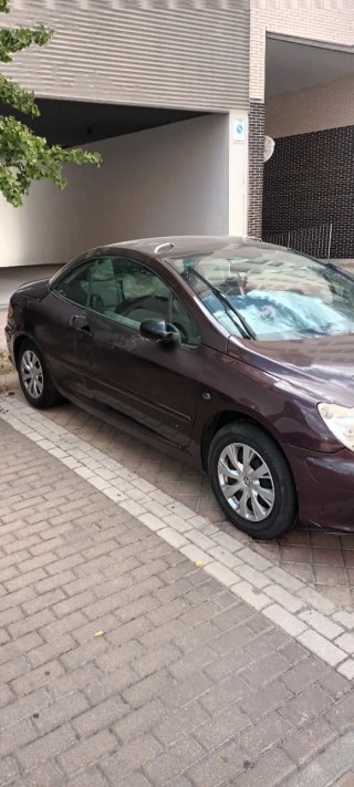 Peugeot 307 2004