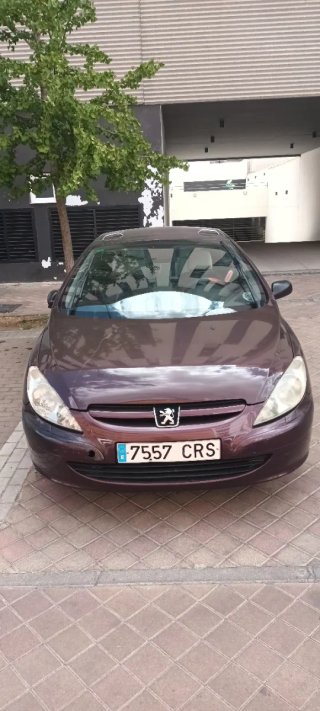 Peugeot 307 2004