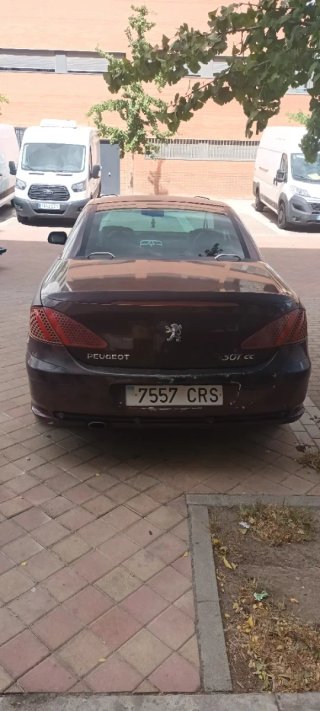 Peugeot 307 2004