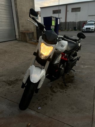 Benelli BN 302 Blanca