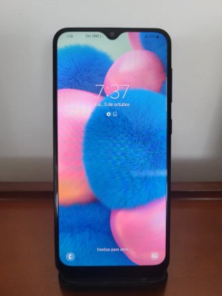 Samsung Galaxy A30 Negro