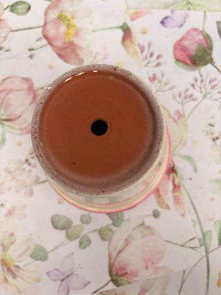 Maceta para Bonsái Rosa y Crema