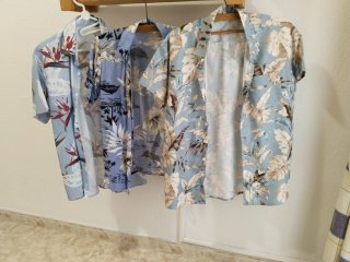 Camisas Hawaianas Estampadas