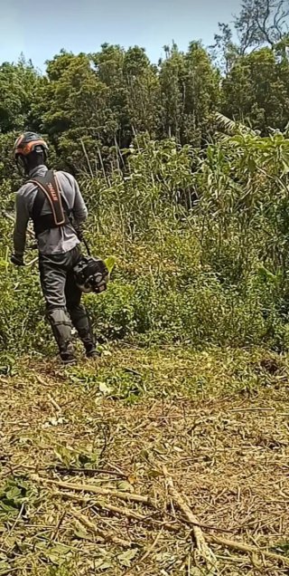 Servicio de jardinería y desbroce