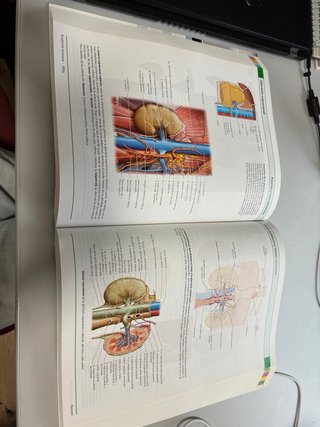 Anatomía humana Atlas