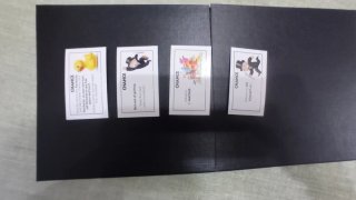 Monopoly Junior Juego de Mesa