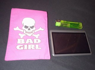 Navegador GPS con Funda Rosa